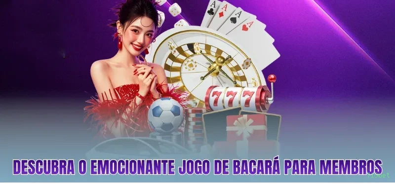 719bet Plataforma